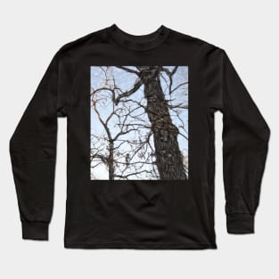 Trees 39 by Kristalin Davis Long Sleeve T-Shirt